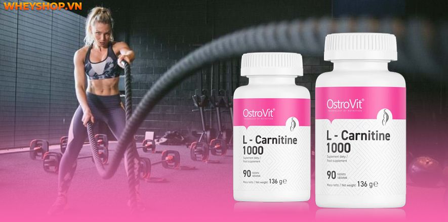 Nếu bạn đang tìm hiểu về Ostrovit L Carnitine thì hãy cùng WheyShop review đánh giá Ostrovit L Carnitine có tốt không qua bài viết...