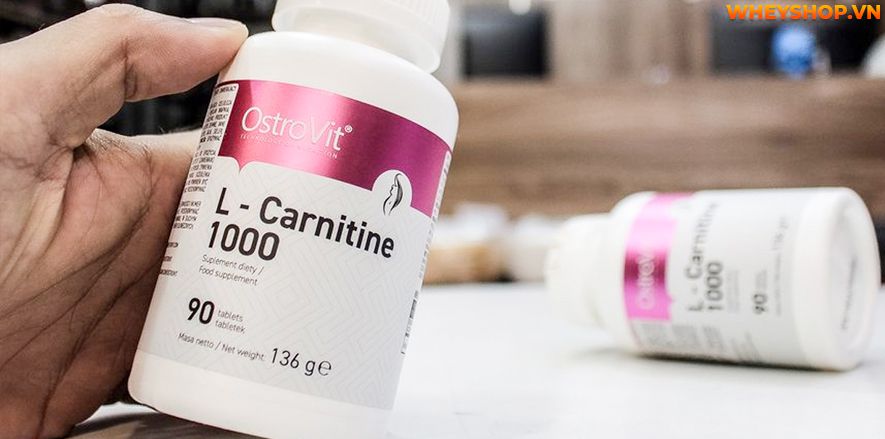 Nếu bạn đang tìm hiểu về Ostrovit L Carnitine thì hãy cùng WheyShop review đánh giá Ostrovit L Carnitine có tốt không qua bài viết...