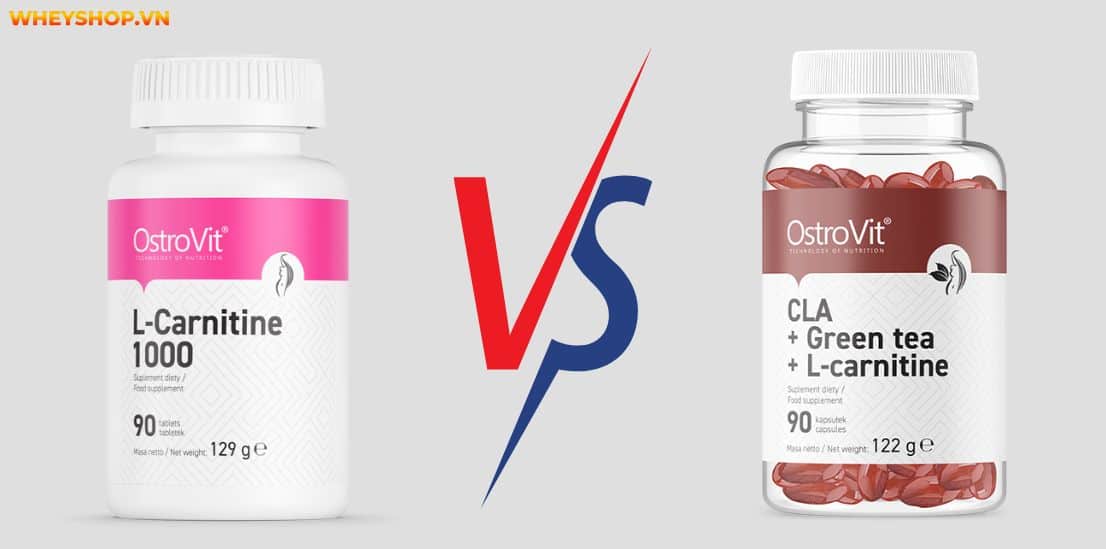 Nếu bạn đang tìm hiểu về Ostrovit L Carnitine thì hãy cùng WheyShop review đánh giá Ostrovit L Carnitine có tốt không qua bài viết...