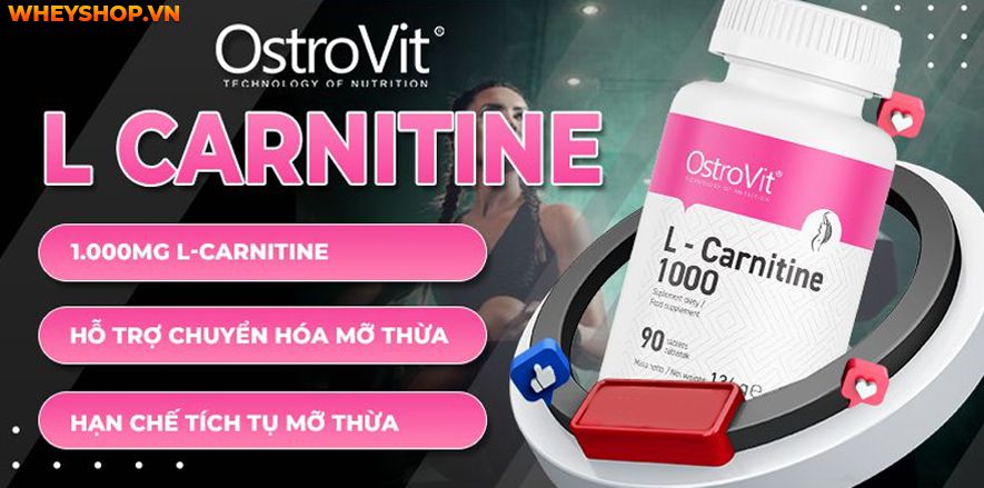 Nếu bạn đang tìm hiểu về Ostrovit L Carnitine thì hãy cùng WheyShop review đánh giá Ostrovit L Carnitine có tốt không qua bài viết...
