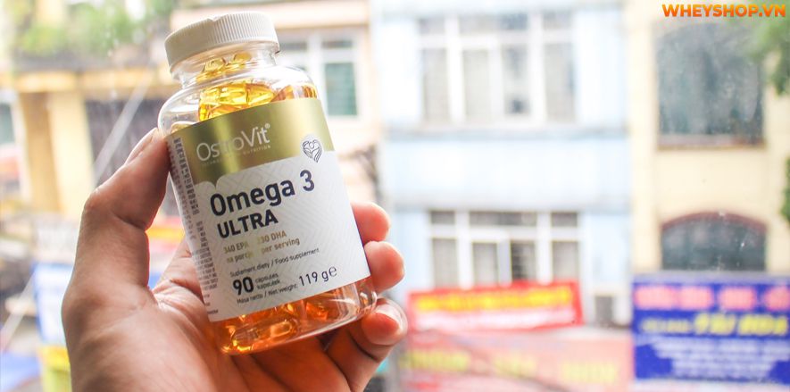 Nếu bạn đang phân vân lựa chọn sản phẩm Ostrovit Omeag 3 Ultra thì hãy cùng WheyShop review đánh giá Ostrovit Omega 3 Ultra có tốt không qua bài...