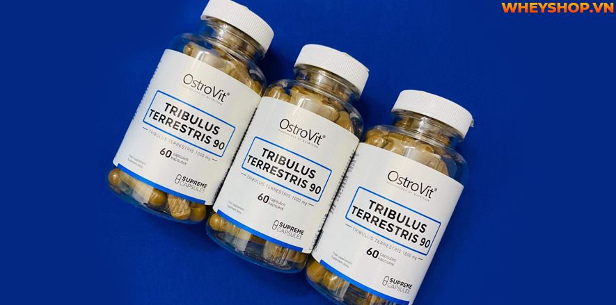 Nếu bạn đang băn khoăn Ostrovit Tribulus Terrestris có tốt không thì hãy cùng WheyShop review đánh giá Ostrovit Tribulus Terrestris qua bài viết...