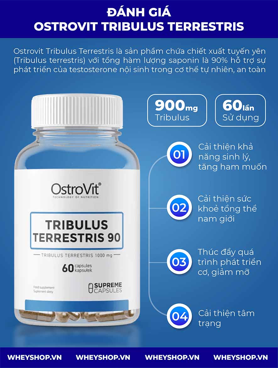 Nếu bạn đang băn khoăn Ostrovit Tribulus Terrestris có tốt không thì hãy cùng WheyShop review đánh giá Ostrovit Tribulus Terrestris qua bài viết...