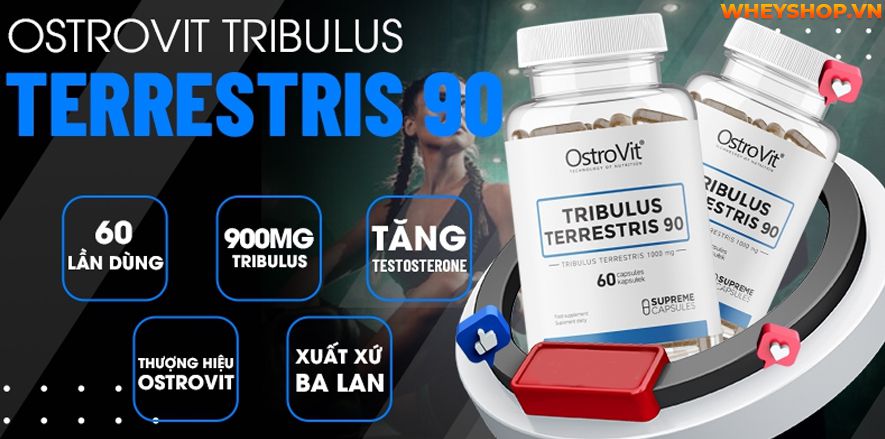 Nếu bạn đang băn khoăn Ostrovit Tribulus Terrestris có tốt không thì hãy cùng WheyShop review đánh giá Ostrovit Tribulus Terrestris qua bài viết...