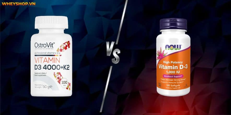 Nếu bạn đang băn khoăn tìm hiểu đánh giá Ostrovit Vitamin D3 4000 K2 có tốt không thì hãy cùng WheyShop tham khảo giải đáp chi tiết qua bài viết...