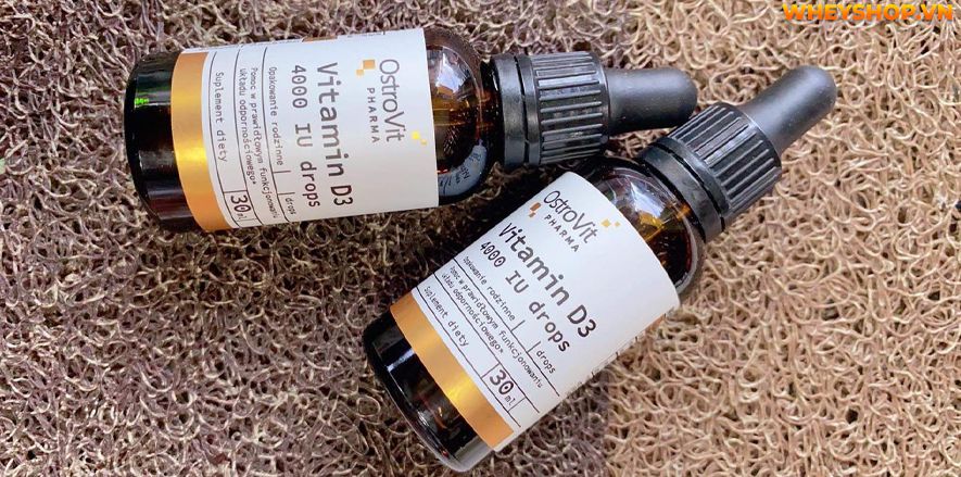 Nếu bạn đang băn khoăn về sản phẩm Ostrovit Vitamin D3 4000IU Drops thì hãy cùng WheyShop reivew đánh giá Ostrovit Vitamin D3 4000IU Drops qua bài viết...