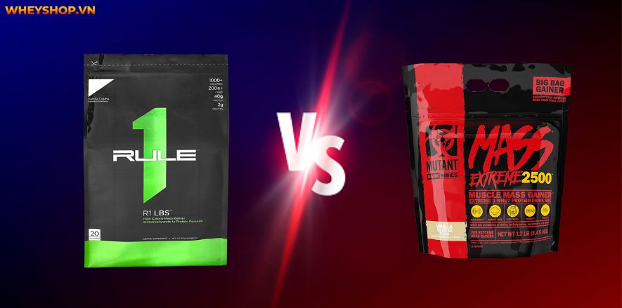 Rule 1 Mass Gainer nhận được nhiều lời khen là sữa tăng cân vô cùng hiệu quả, thơm ngon. WheyShop cùng các bạn review đánh giá Rule 1 Mass Gainer có tốt không..