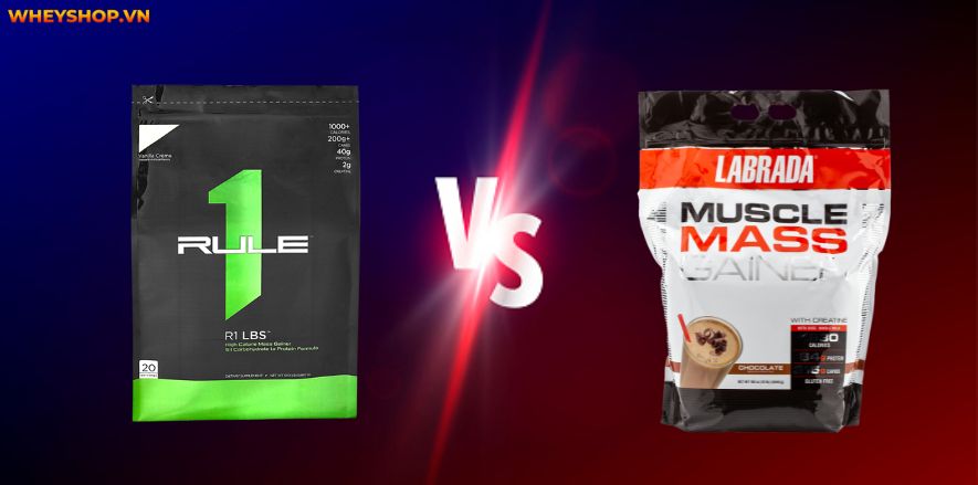 Rule 1 Mass Gainer nhận được nhiều lời khen là sữa tăng cân vô cùng hiệu quả, thơm ngon. WheyShop cùng các bạn review đánh giá Rule 1 Mass Gainer có tốt không..
