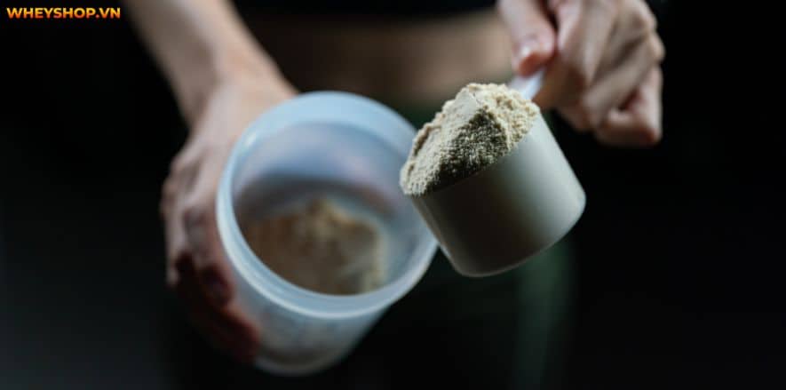 Rule 1 Mass Gainer nhận được nhiều lời khen là sữa tăng cân vô cùng hiệu quả, thơm ngon. WheyShop cùng các bạn review đánh giá Rule 1 Mass Gainer có tốt không..