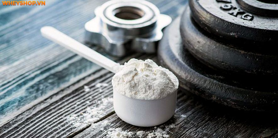Nếu bạn đang băn khoăn không biết nên cân nhắc lựa chọn loại nào giữa BCAA và Creatine thì hãy cùng WheyShop tham khảo bài viết đánh giá...