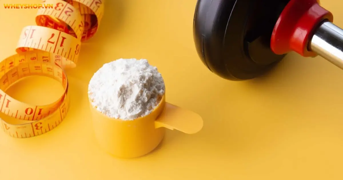 danh-gia-so-sanh-bcaa-va-creatine-nen-dung-loai-nao-4