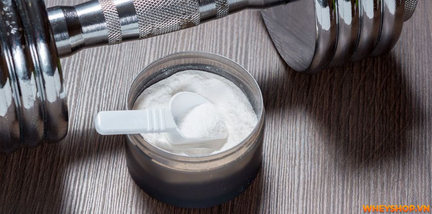 Nếu bạn đang băn khoăn không rõ dùng BCAA tăng cơ giảm mỡ có tốt không hay bị mập thì hãy cùng WheyShop tham khảo bài viết ngay nhé...