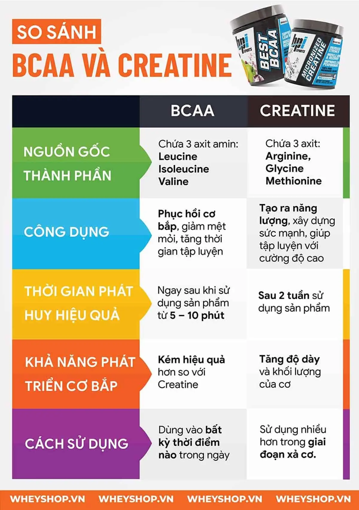 danh-gia-so-sanh-bcaa-va-creatine-nen-dung-loai-nao-4