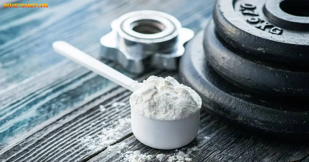 danh-gia-so-sanh-bcaa-va-creatine-nen-dung-loai-nao-4