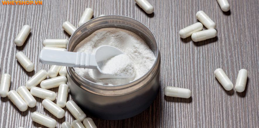 Nếu bạn đang băn khoăn trong việc lựa chọn giữa Glutamine và BCAA thì hãy cùng WheyShop tham khảo chi tiết bài viết so sánh...