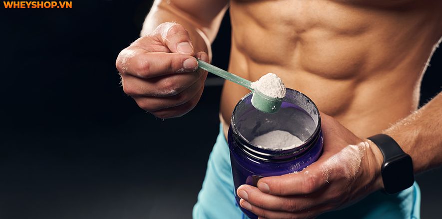 Nếu bạn đang băn khoăn trong việc lựa chọn giữa Glutamine và BCAA thì hãy cùng WheyShop tham khảo chi tiết bài viết so sánh...