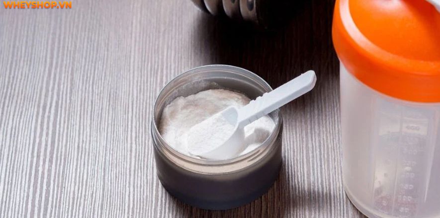 Nếu bạn đang băn khoăn trong việc lựa chọn giữa Glutamine và BCAA thì hãy cùng WheyShop tham khảo chi tiết bài viết so sánh...