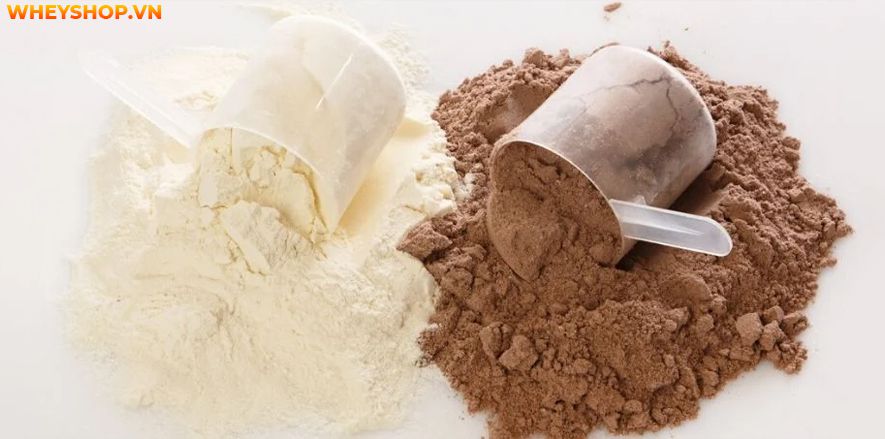 Nếu bạn đang băn khoăn không biết whey concentrate và isolate nên chọn loại nào tăng cơ hiệu quả, phù hợp thì hãy cùng WheyShop tham khảo bài viết...