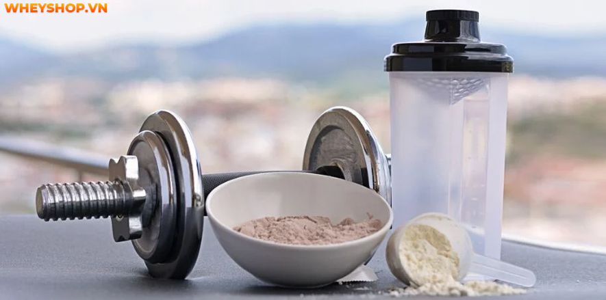 Nếu bạn đang băn khoăn không biết whey concentrate và isolate nên chọn loại nào tăng cơ hiệu quả, phù hợp thì hãy cùng WheyShop tham khảo bài viết...
