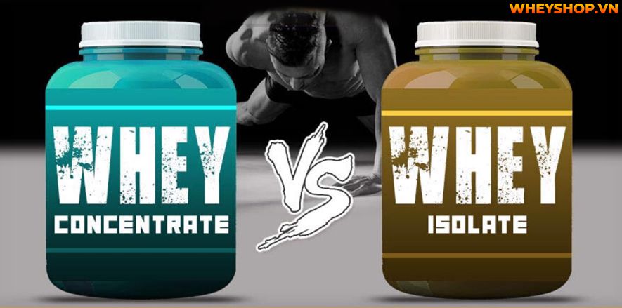 Nếu bạn đang băn khoăn không biết whey concentrate và isolate nên chọn loại nào tăng cơ hiệu quả, phù hợp thì hãy cùng WheyShop tham khảo bài viết...