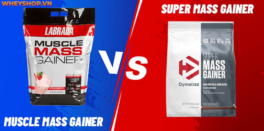 Nếu bạn đang băn khoăn so sánh Muscle Mass Gainer và Super Mass Gainer loại nào tốt thì hãy cùng WheyShop tham khảo chi tiết bài viết...