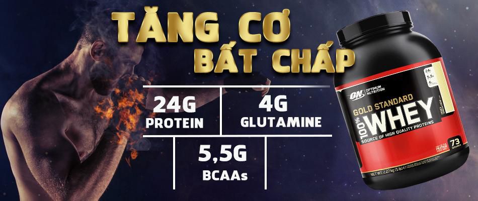 danh gia whey gold standard