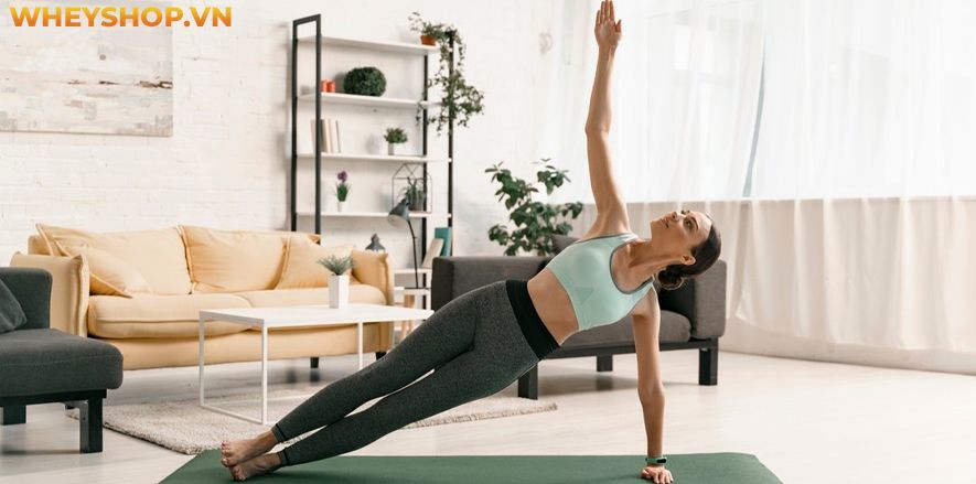 Nếu bạn đang quan tâm về bộ môn Yoga mà vẫn chưa hiểu rõ về lợi ích của Yoga thì bài viết này, WheyShop sẽ cùng các bạn tìm hiểu chi tiết về lợi ích của Yoga...