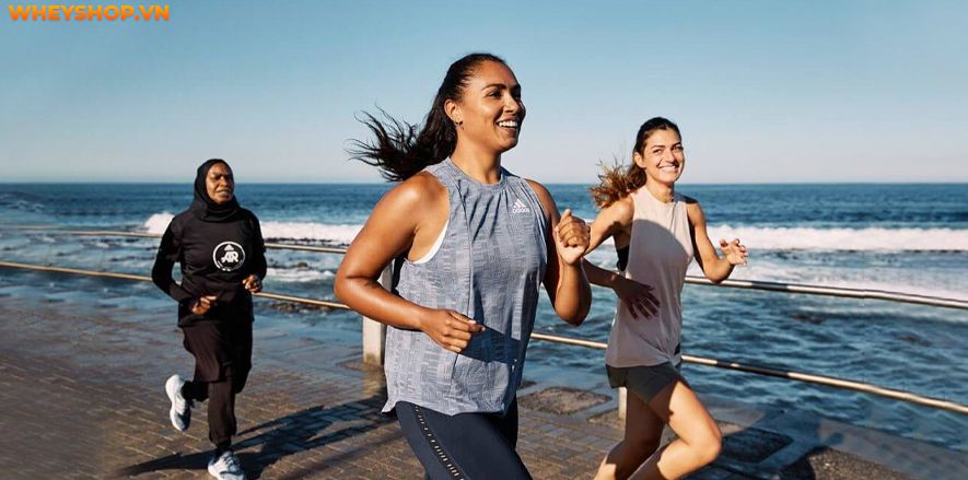 Có bao giờ bạn thắc mắc đạp xe hay chạy bộ đem lại nhiều lợi ích hơn. WheyShop ở đây để giải đáp thắc mắc đạp xe hay chạy bộ tốt hơn