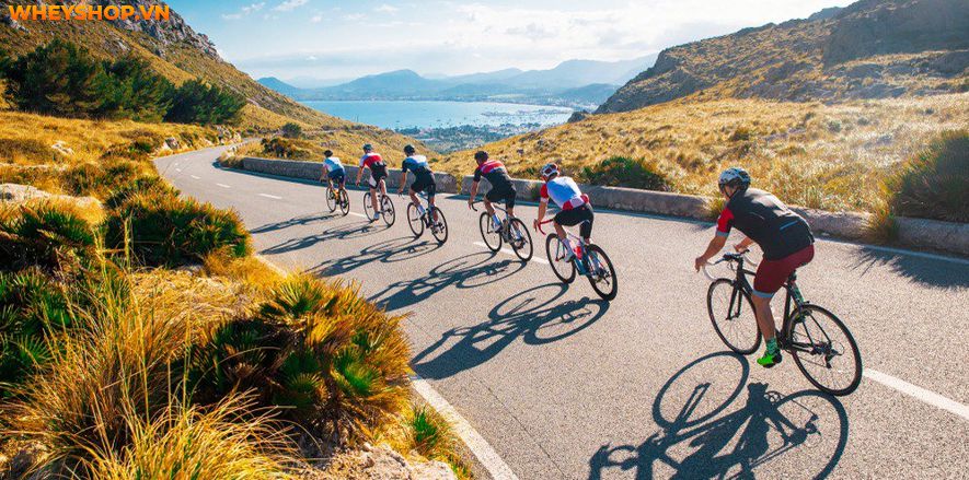 Có bao giờ bạn thắc mắc đạp xe hay chạy bộ đem lại nhiều lợi ích hơn. WheyShop ở đây để giải đáp thắc mắc đạp xe hay chạy bộ tốt hơn