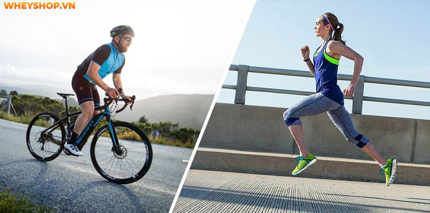 Có bao giờ bạn thắc mắc đạp xe hay chạy bộ đem lại nhiều lợi ích hơn. WheyShop ở đây để giải đáp thắc mắc đạp xe hay chạy bộ tốt hơn