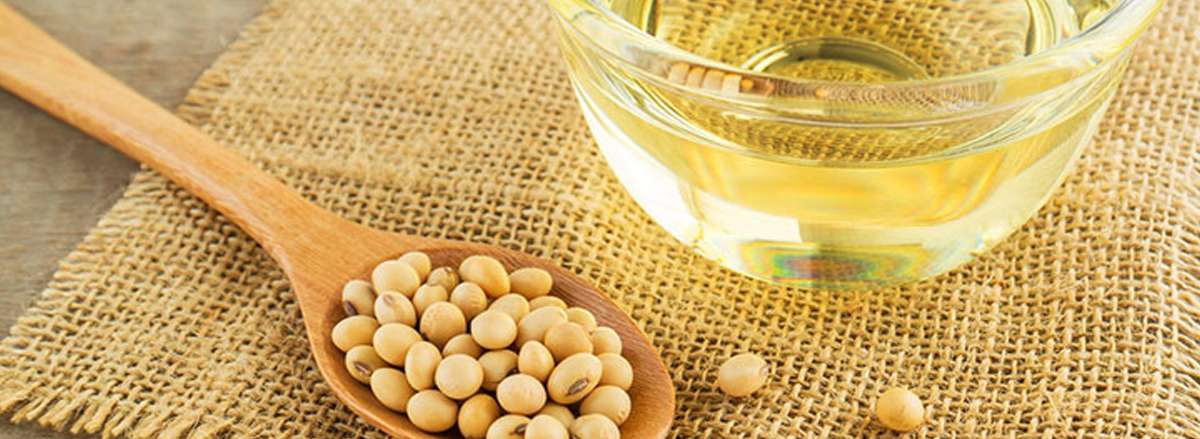 dau nanh tot hay sau voi suc khoe dau cạch chat huu co hoat tinh