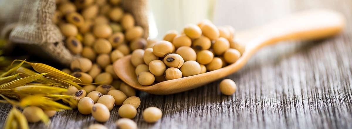 dau nanh tot hay sau voi suc khoe dau nanh vitaminkhoa chat