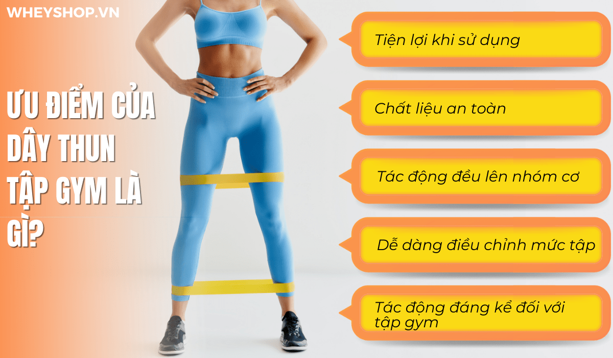 Dây thun tập gym là một dụng cụ không còn xa lạ đối với những người đam mê bộ môn này. Tuy nhiên, khái niệm, tính chất, công dụng của dụng cụ này còn khá mơ...
