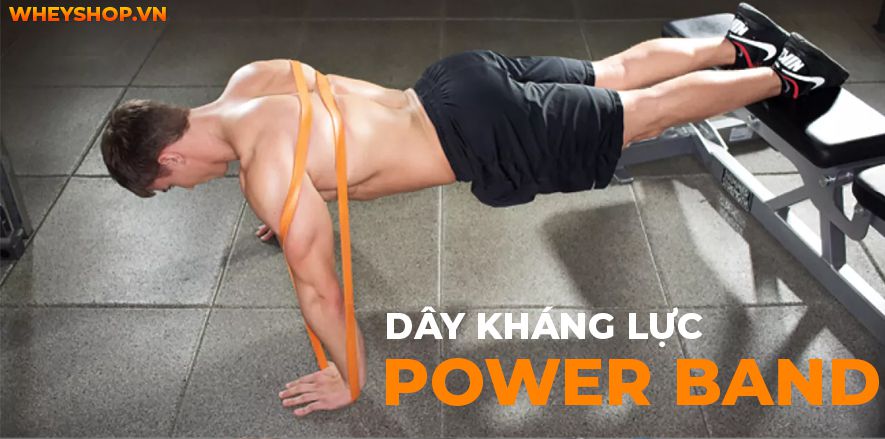 Dây thun tập gym là một dụng cụ không còn xa lạ đối với những người đam mê bộ môn này. Tuy nhiên, khái niệm, tính chất, công dụng của dụng cụ này còn khá mơ...