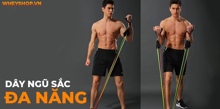 Dây thun tập gym là một dụng cụ không còn xa lạ đối với những người đam mê bộ môn này. Tuy nhiên, khái niệm, tính chất, công dụng của dụng cụ này còn khá mơ...