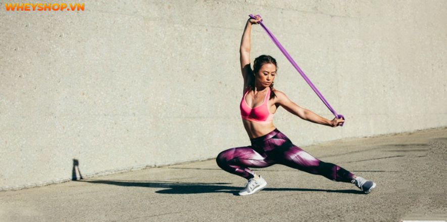 Dây thun tập gym là một dụng cụ không còn xa lạ đối với những người đam mê bộ môn này. Tuy nhiên, khái niệm, tính chất, công dụng của dụng cụ này còn khá mơ...