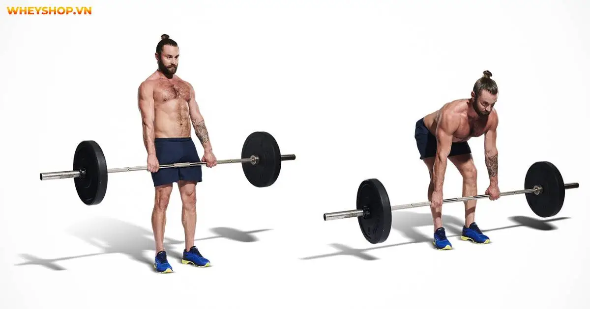 deadlift-la-gi-tim-hieu-cong-dung-tuyet-voi-cua-deadlift-4