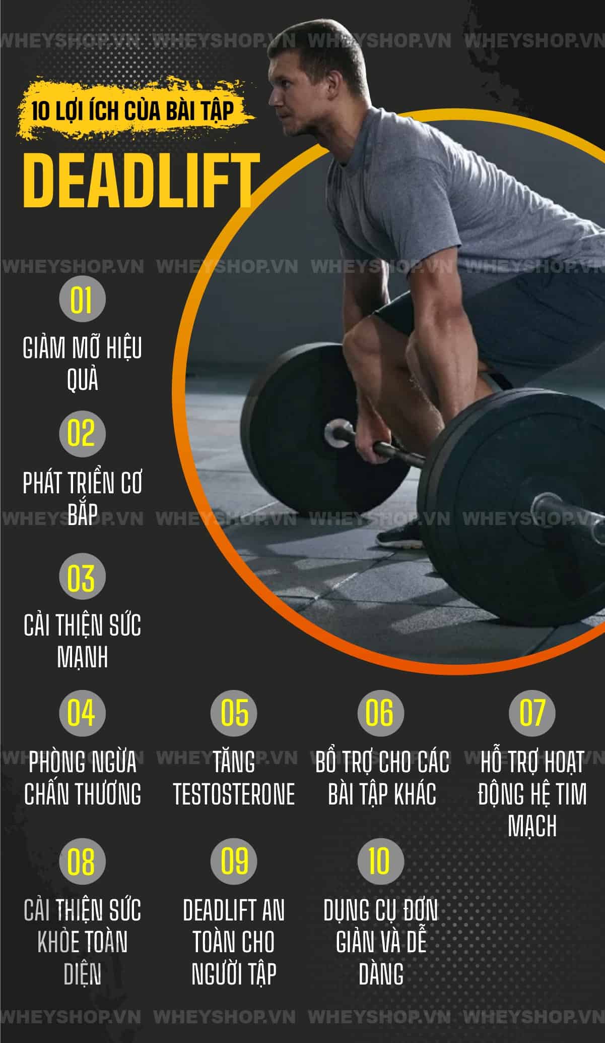 Deadlift là gì? Cùng tìm hiểu công dụng tuyệt vời của các bài tập Deadlift qua bài viết sau cùng với WheyShop để hiểu rõ hơn về Deadlift