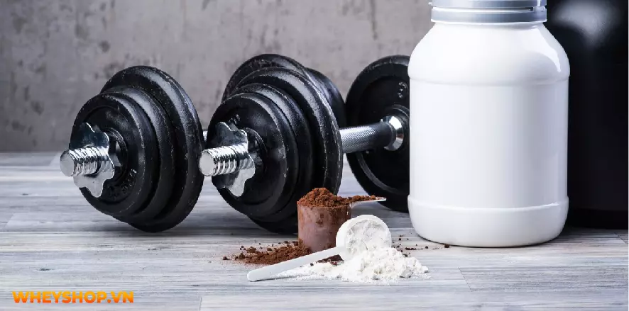 Whey Peptides được đánh giá là dòng Whey protein cao cấp nhất hiện nay với những ưu điểm vượt trội. Vậy Whey Peptides là gì? Sự khác biệt giữa Whey Peptides...
