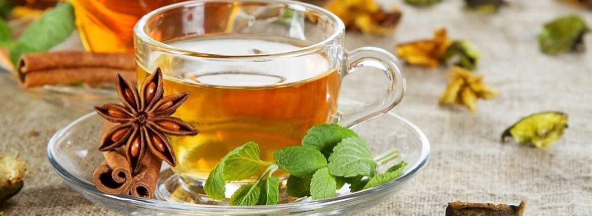 detox giai doc co thuc su hieu qua tra thao moc