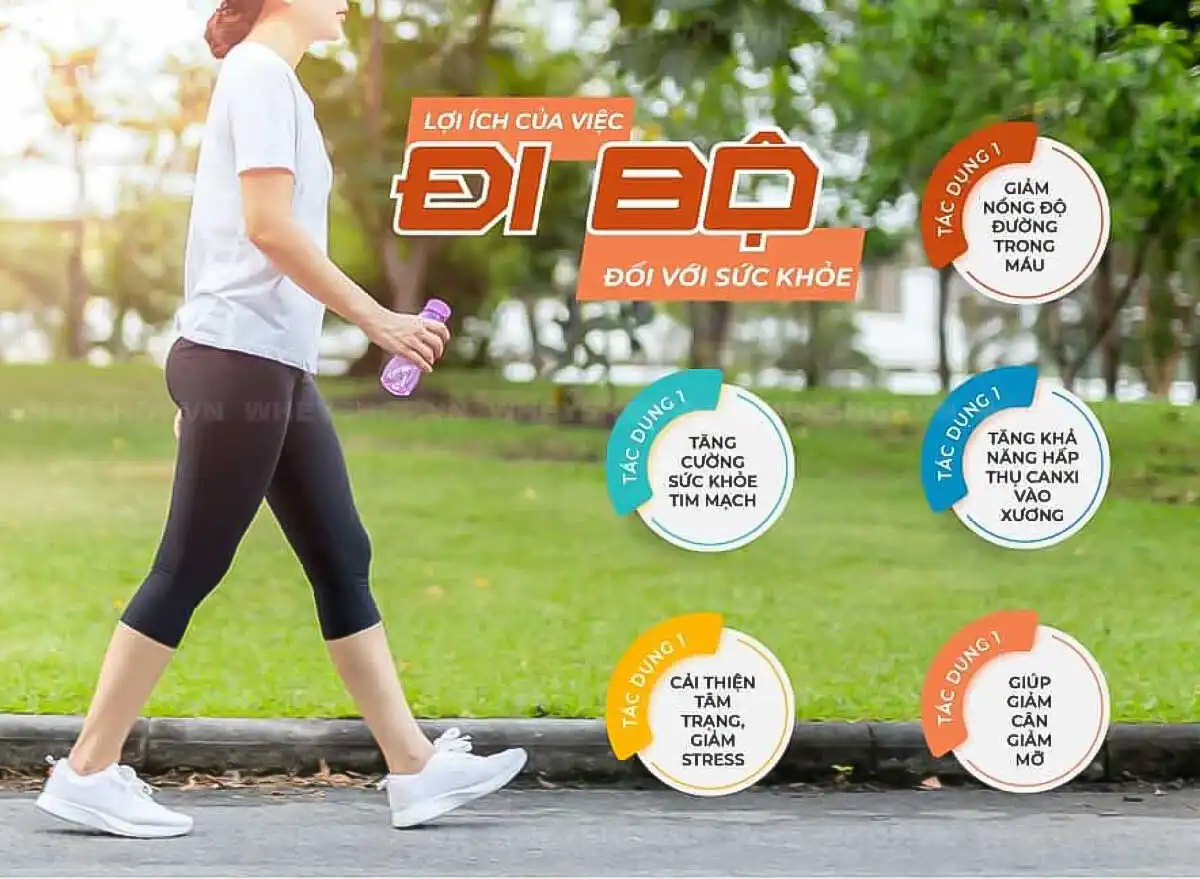 di-bo-1-tieng-tieu-hao-bao-nhieu-calo-bi-quyet-giam-can-hieu-qua-cho-nguoi-beo