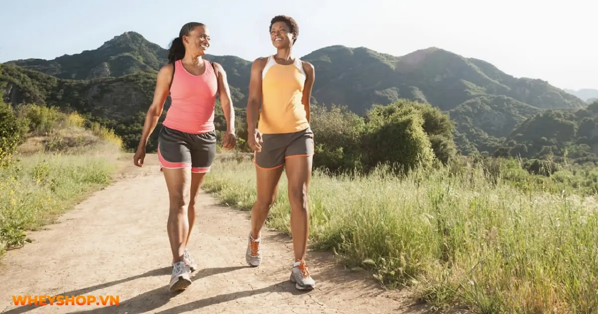 di-bo-bao-lau-thi-giam-can-cach-di-bo-giup-giam-mo-bung-hieu-qua-03-min