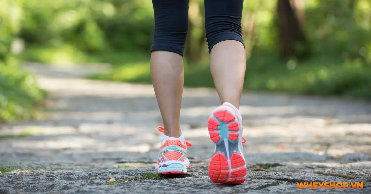 di-bo-bao-lau-thi-giam-can-cach-di-bo-giup-giam-mo-bung-hieu-qua (1)