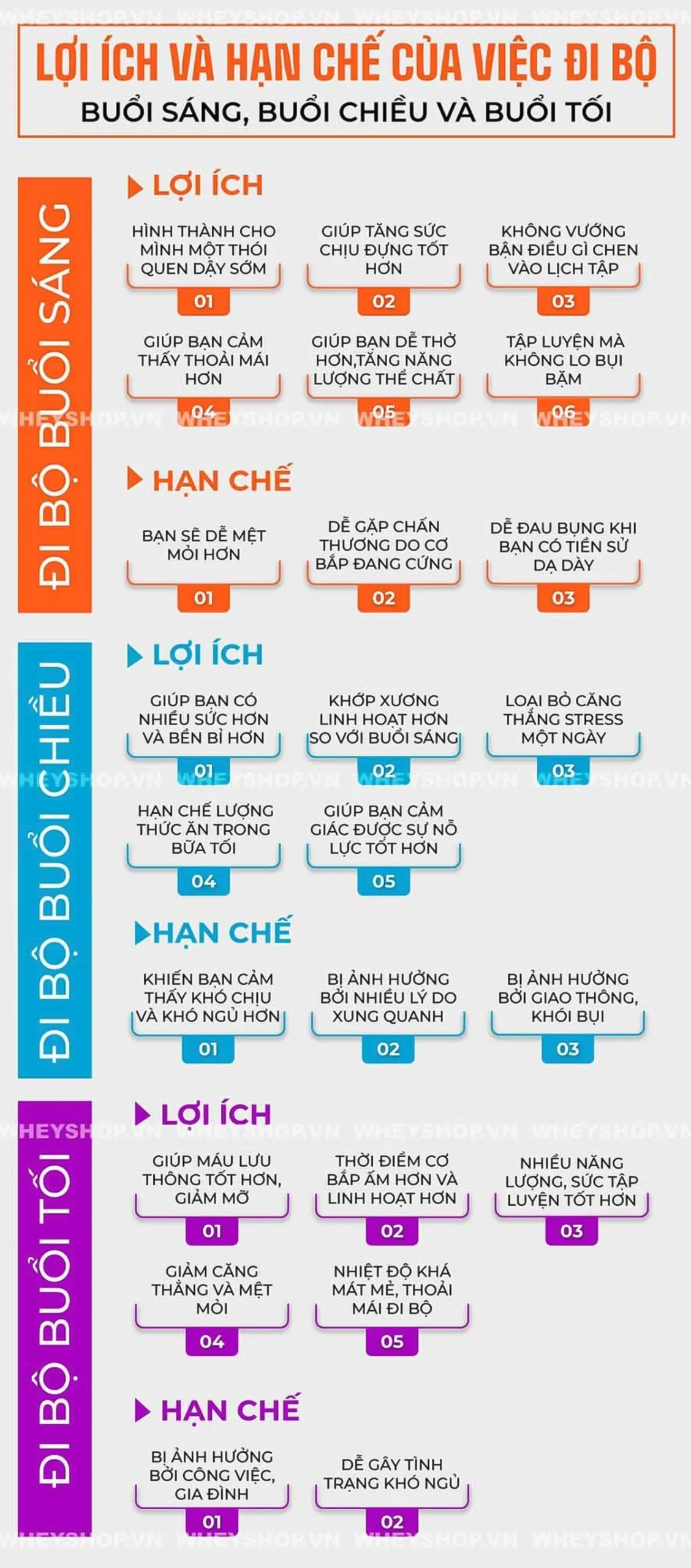 di-bo-buoi-sang-hay-toi-tot-hon