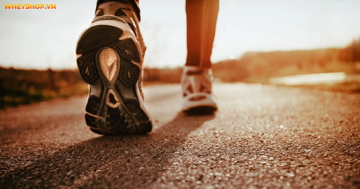 di-bo-buoi-sang-hay-toi-tot-hon