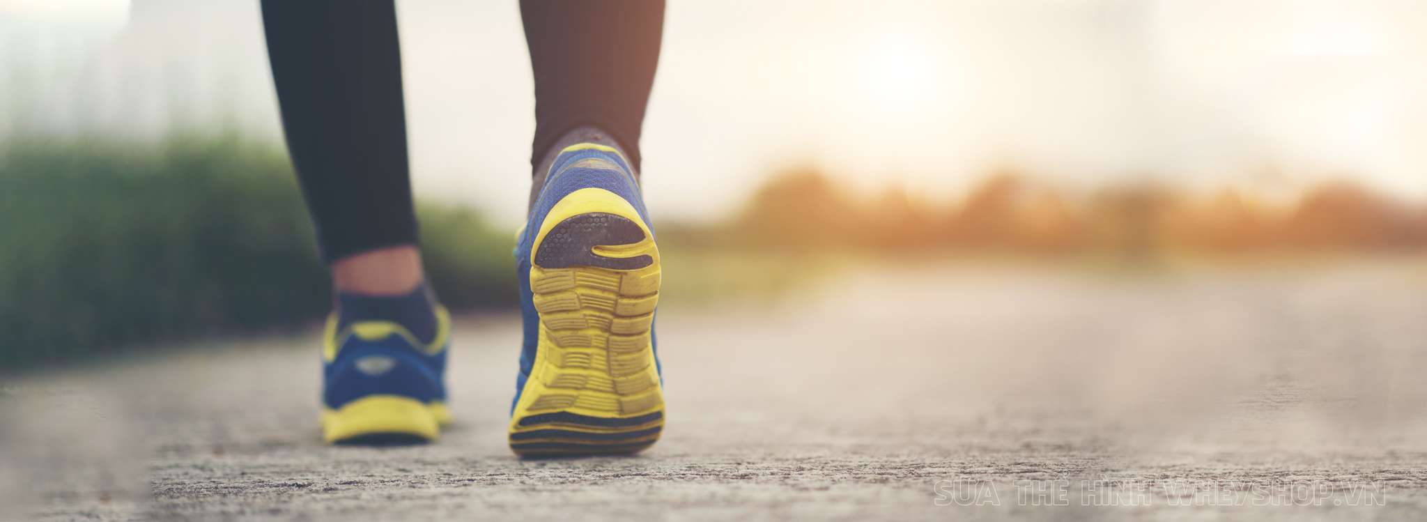 di bo giup tang chieu cao