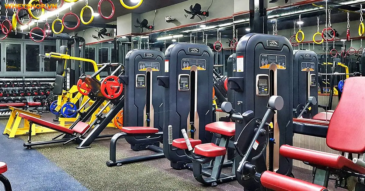 dia-chi-phong-gym-quan-10-5