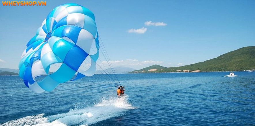 Ngày nay, các môn thể thao dưới nước ngày càng thu hút nhiều người tham gia và yêu thích. Vậy bạn có biết rằng ngoài bơi lội, còn có rất nhiều môn thể thao...