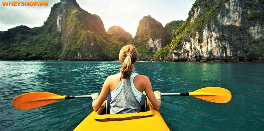 Ngày nay, các môn thể thao dưới nước ngày càng thu hút nhiều người tham gia và yêu thích. Vậy bạn có biết rằng ngoài bơi lội, còn có rất nhiều môn thể thao...