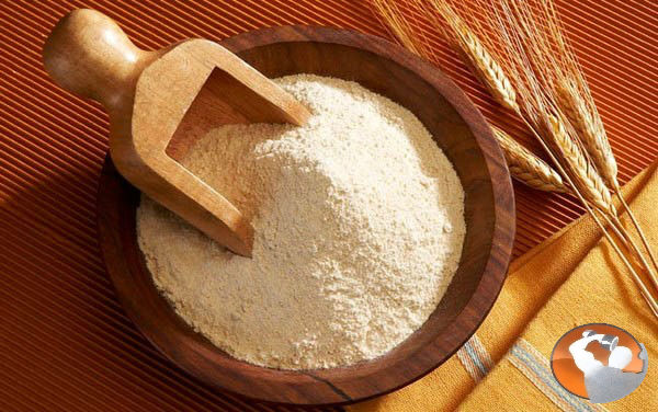 Bột đậu - loại bột dinh dưỡng cho người tập thể hình Bột đậu - loại bột dinh dưỡng cho người tập thể hình